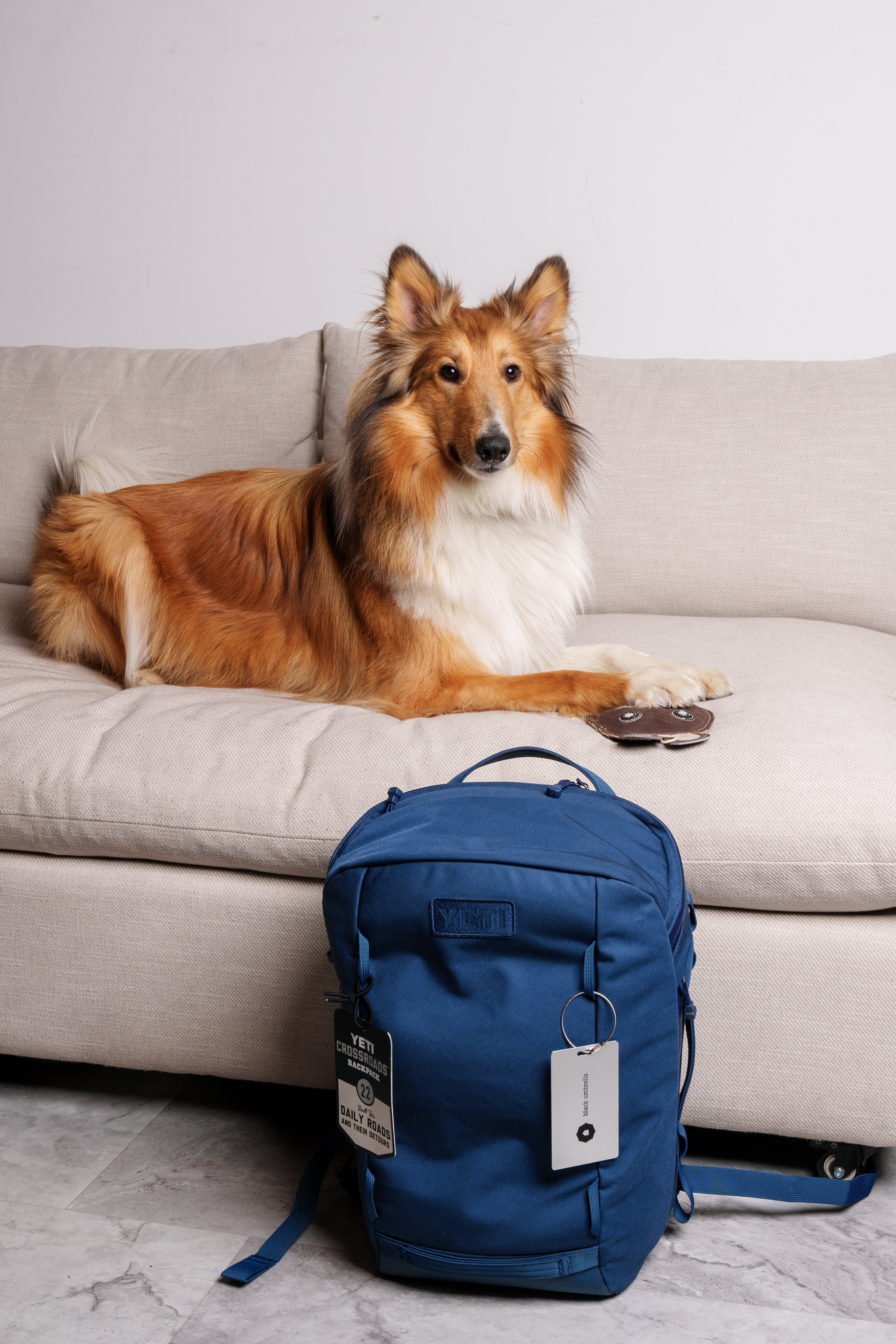 Sanctuary Dog Escape Bag - Preparedness for Your Pet