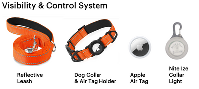 Collection of dog accessories including a reflective leash, dog collar with air tag holder, Apple Air Tag, and Nite Ize collar light.