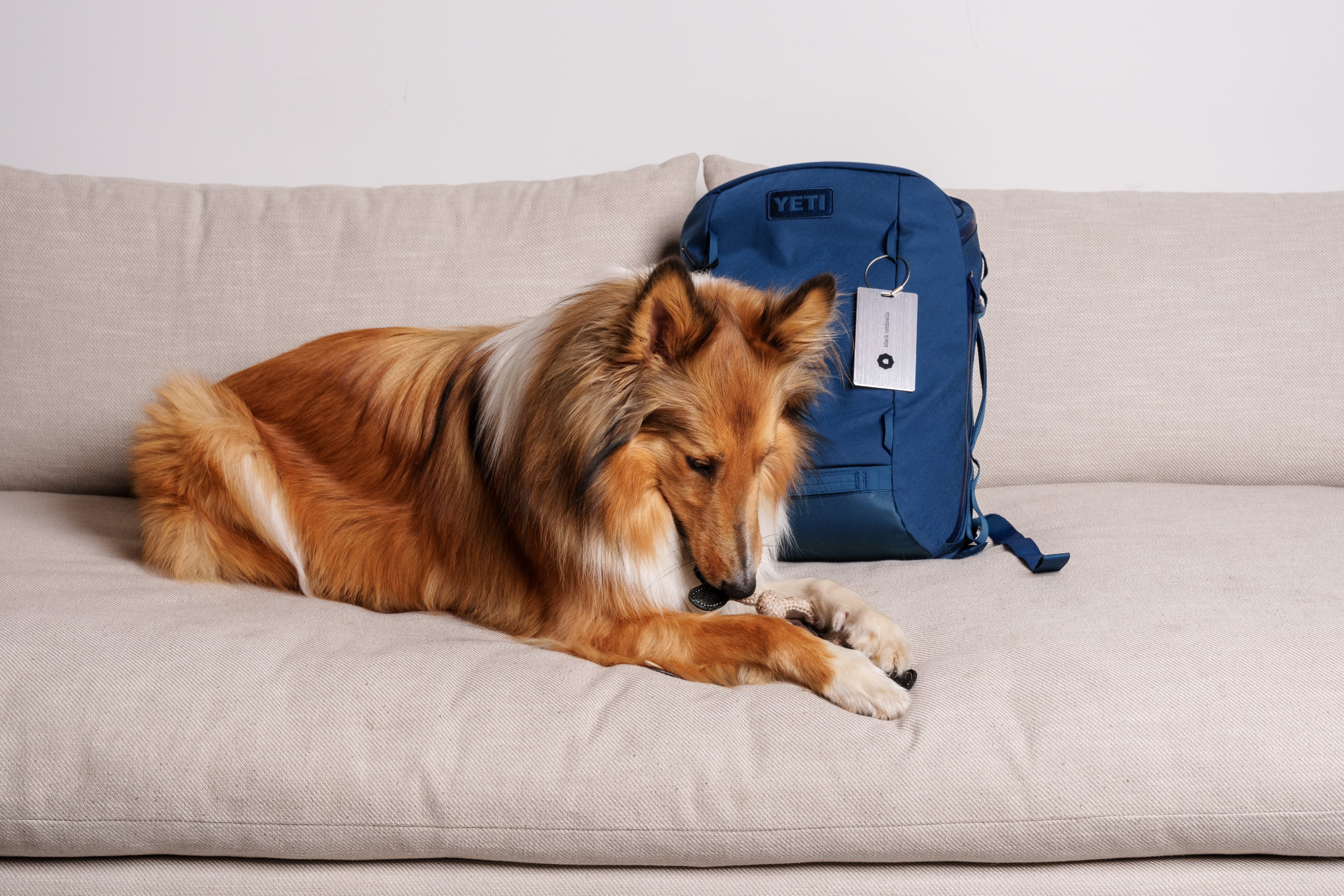 Sanctuary Dog Escape Bag - Preparedness for Your Pet